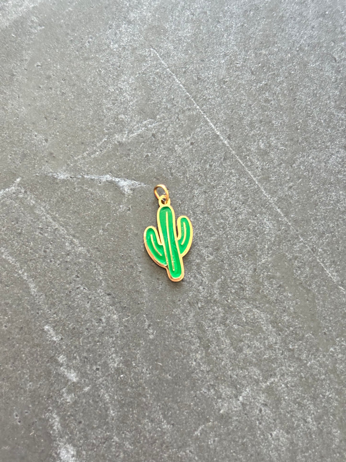 Cactus Charm